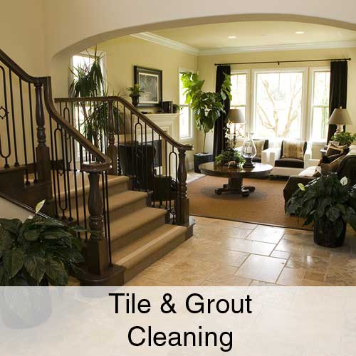 Tile & Grout Cleaning