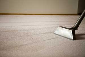 Carpet Cleaning Services1